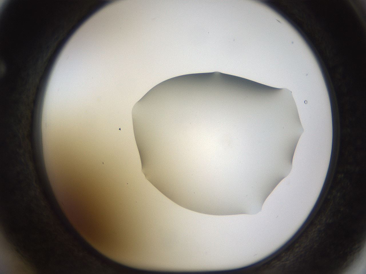folderID515_plateID1515_batchID5948_wellNum64_profileID1_d1_r96527_ef.jpg