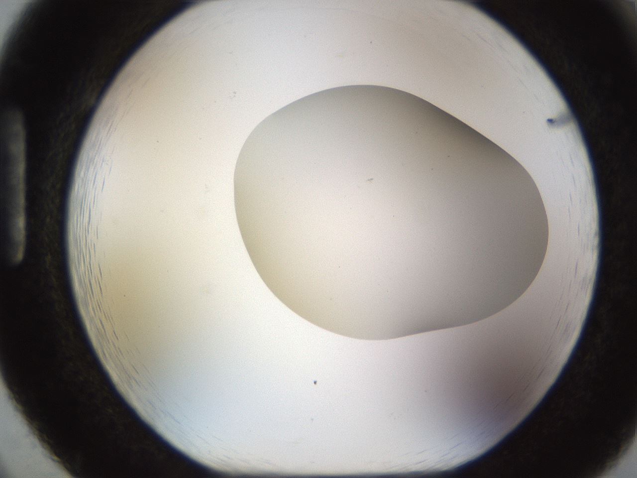 folderID515_plateID1515_batchID5948_wellNum86_profileID1_d1_r96571_ef.jpg