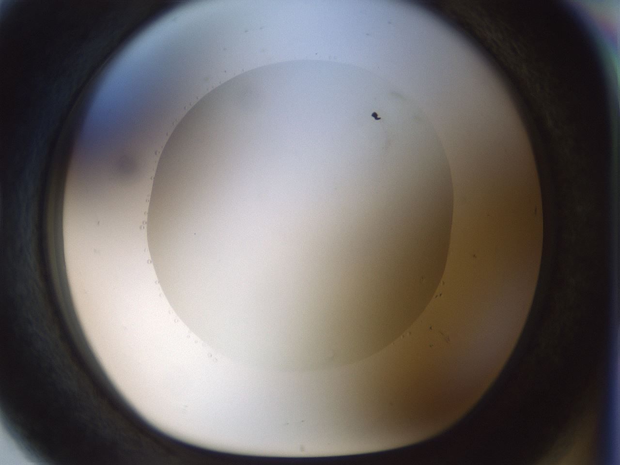 folderID514_plateID1514_batchID5949_wellNum80_profileID1_d1_r96751_ef.jpg