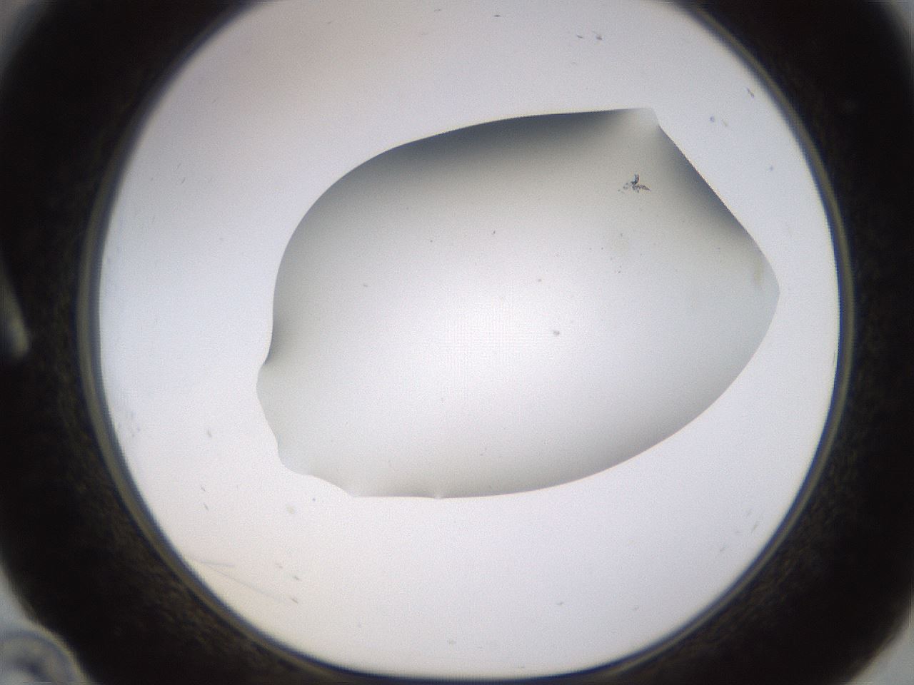 folderID518_plateID1518_batchID5983_wellNum10_profileID1_d1_r97274_ef.jpg