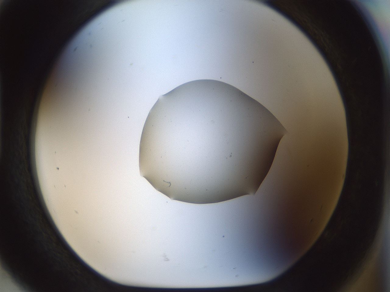 folderID512_plateID1512_batchID5942_wellNum92_profileID1_d1_r95916_ef.jpg