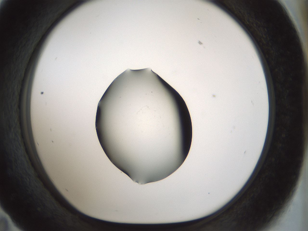 folderID514_plateID1514_batchID5882_wellNum59_profileID1_d1_r96709_ef.jpg