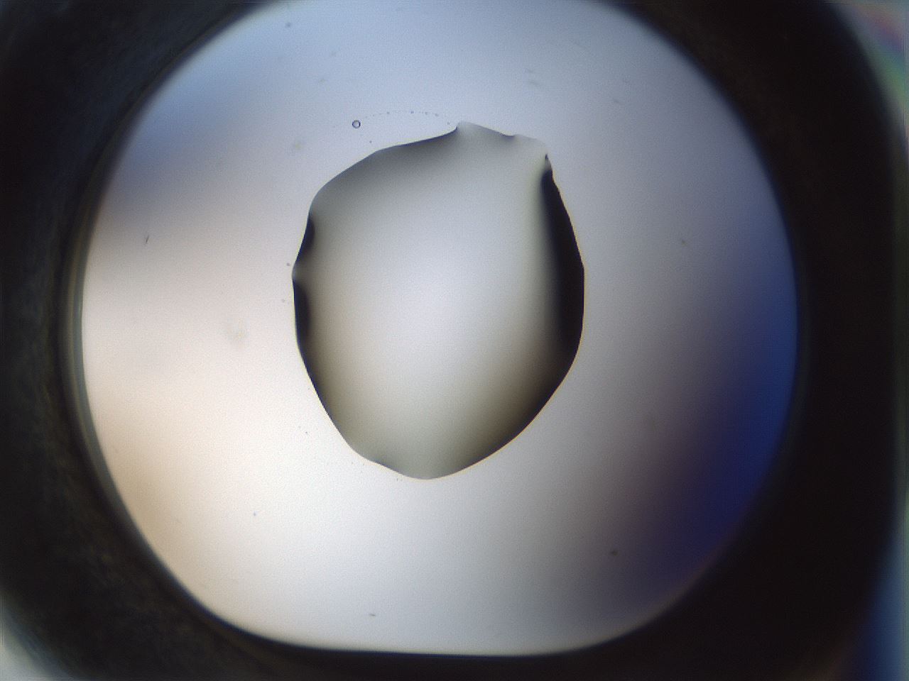 folderID514_plateID1514_batchID5882_wellNum81_profileID1_d1_r96753_ef.jpg