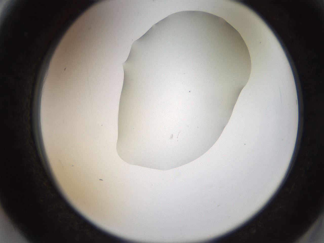 folderID515_plateID1515_batchID5948_wellNum62_profileID1_d2_r96524_ef.jpg