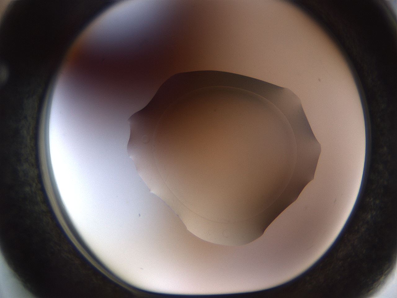 folderID515_plateID1515_batchID5948_wellNum63_profileID1_d1_r96525_ef.jpg