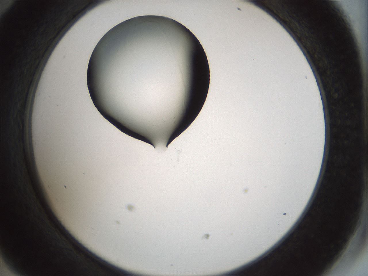 folderID514_plateID1514_batchID5882_wellNum47_profileID1_d2_r96686_ef.jpg