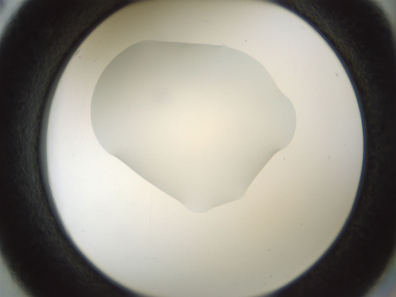 folderID514_plateID1514_batchID5882_wellNum50_profileID1_d2_r96692_ef.jpg