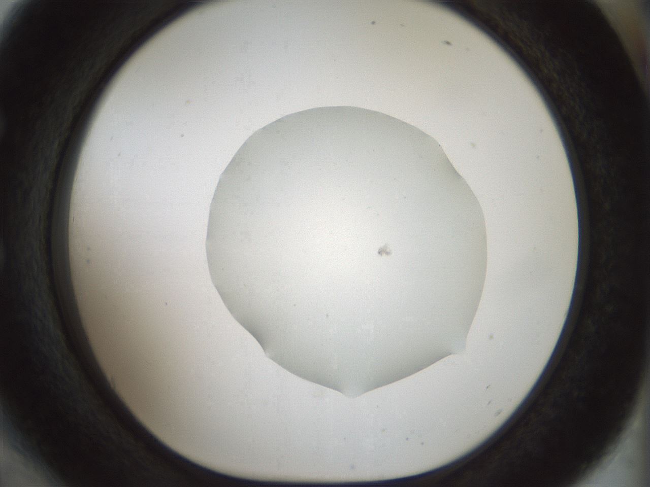 folderID514_plateID1514_batchID5882_wellNum54_profileID1_d1_r96699_ef.jpg