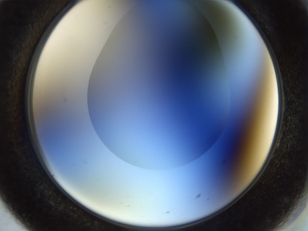 folderID515_plateID1515_batchID5948_wellNum70_profileID1_d2_r96540_ef.jpg