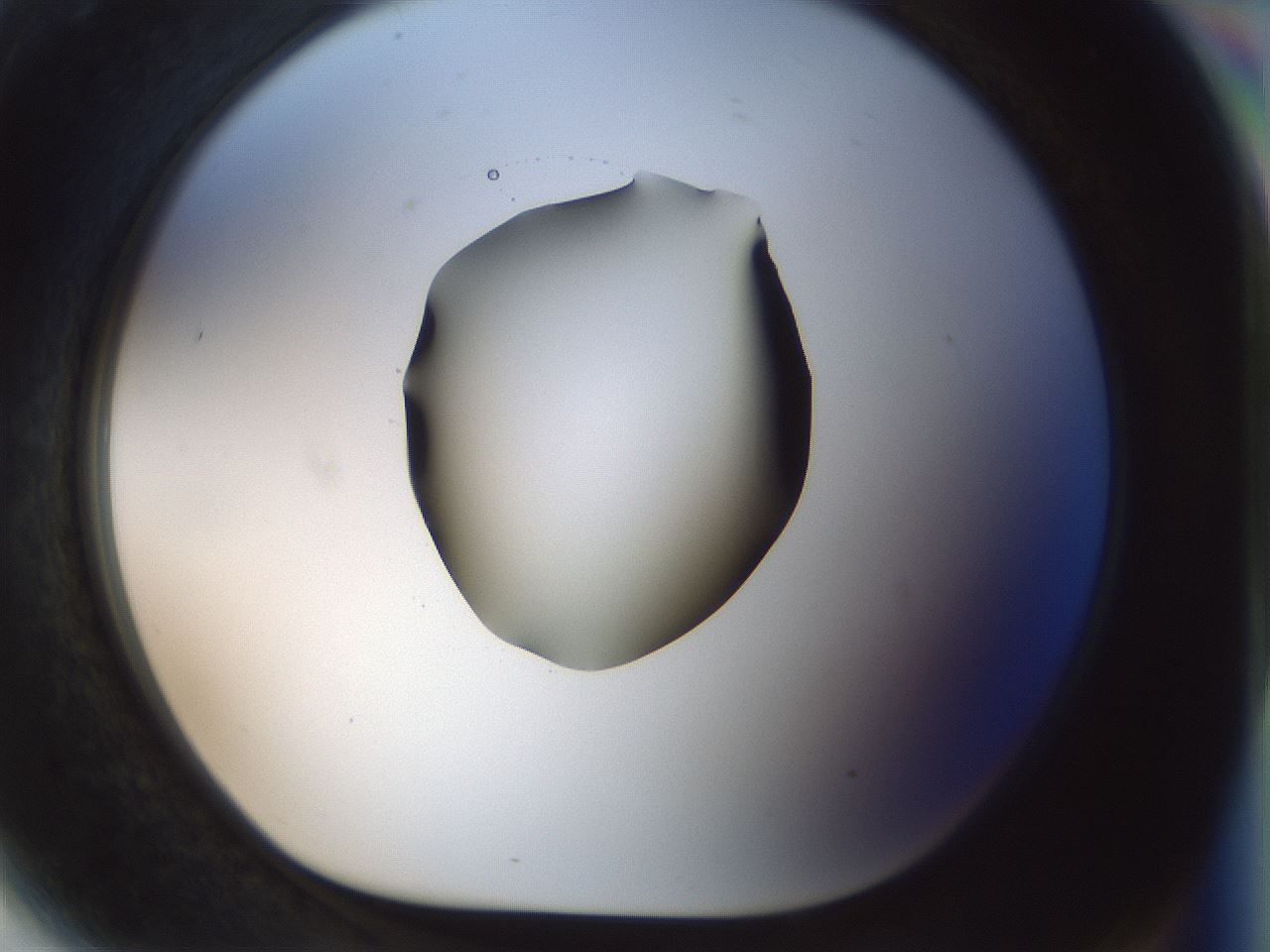 folderID514_plateID1514_batchID5855_wellNum81_profileID1_d1_r96753_ef.jpg