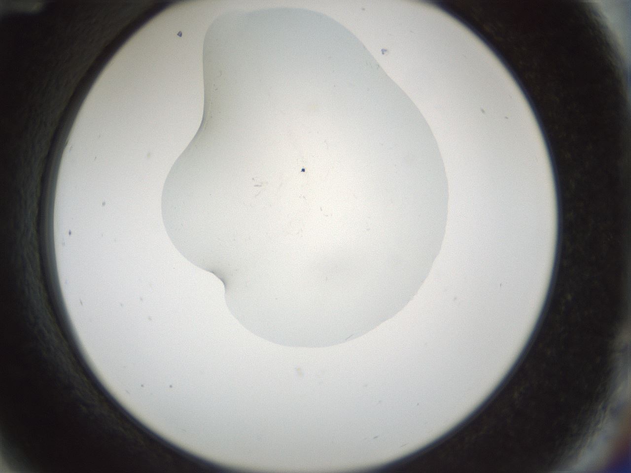 folderID514_plateID1514_batchID5855_wellNum84_profileID1_d2_r96760_ef.jpg