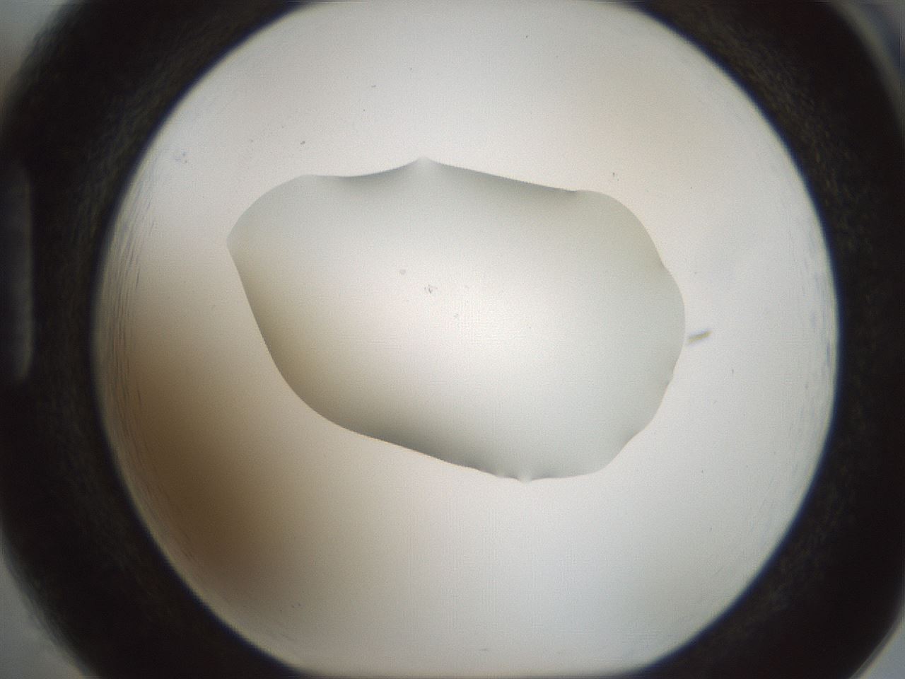 folderID514_plateID1514_batchID5855_wellNum85_profileID1_d1_r96761_ef.jpg