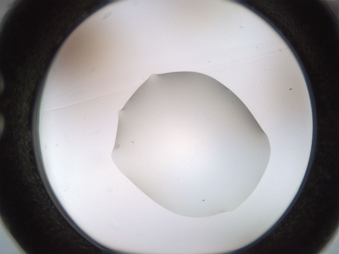 folderID515_plateID1515_batchID5948_wellNum25_profileID1_d1_r96449_ef.jpg