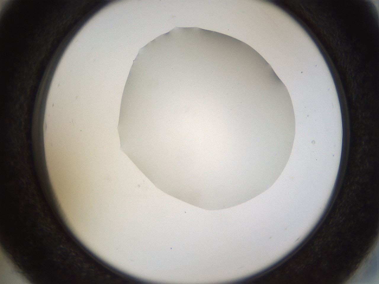 folderID515_plateID1515_batchID5948_wellNum29_profileID1_d2_r96458_ef.jpg