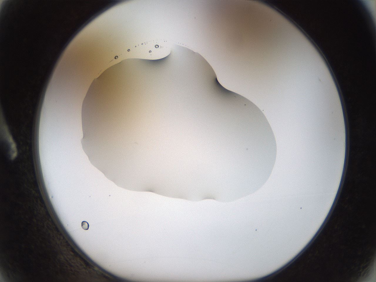 folderID515_plateID1515_batchID5948_wellNum2_profileID1_d1_r96403_ef.jpg