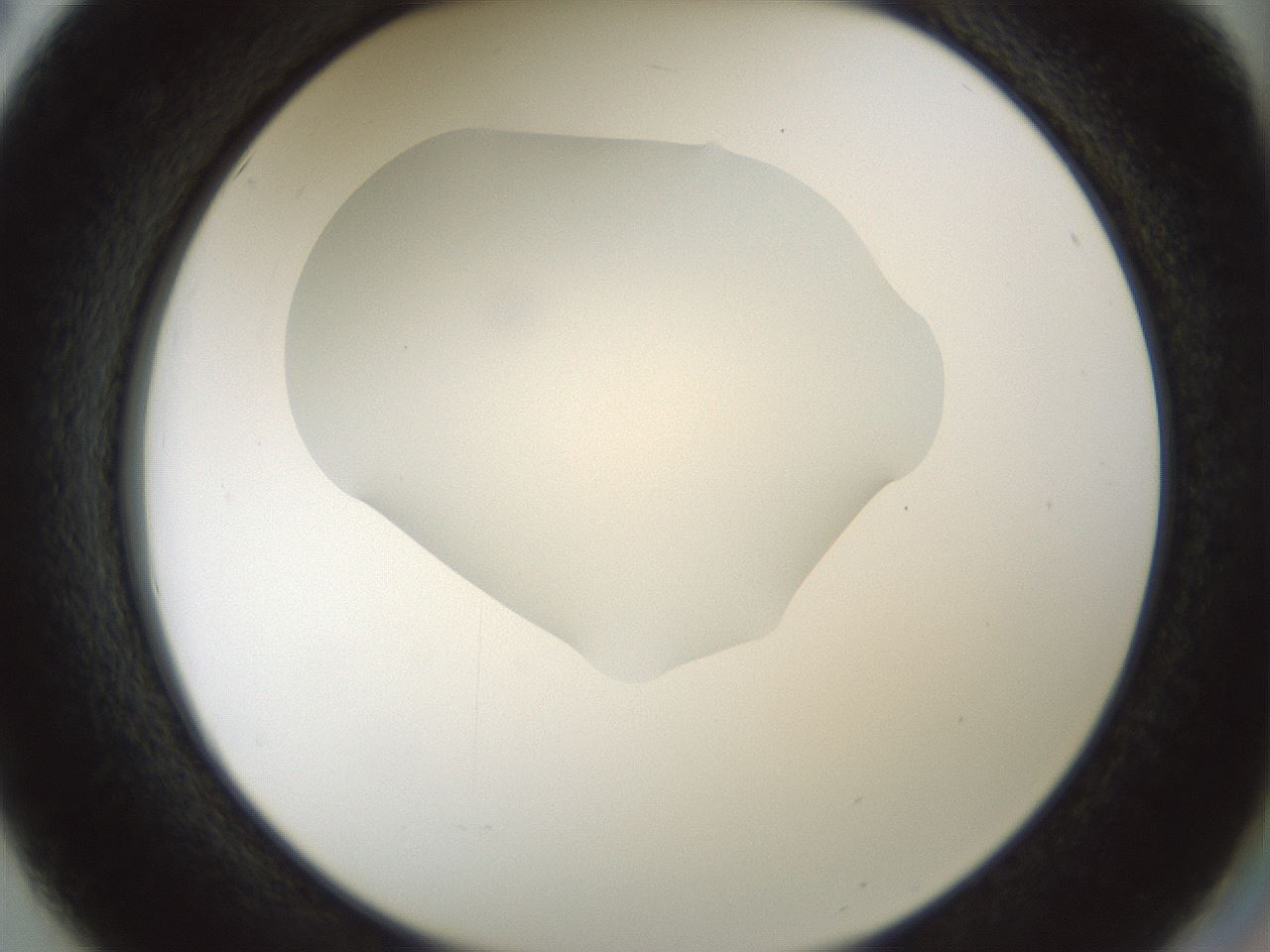 folderID514_plateID1514_batchID5855_wellNum50_profileID1_d2_r96692_ef.jpg