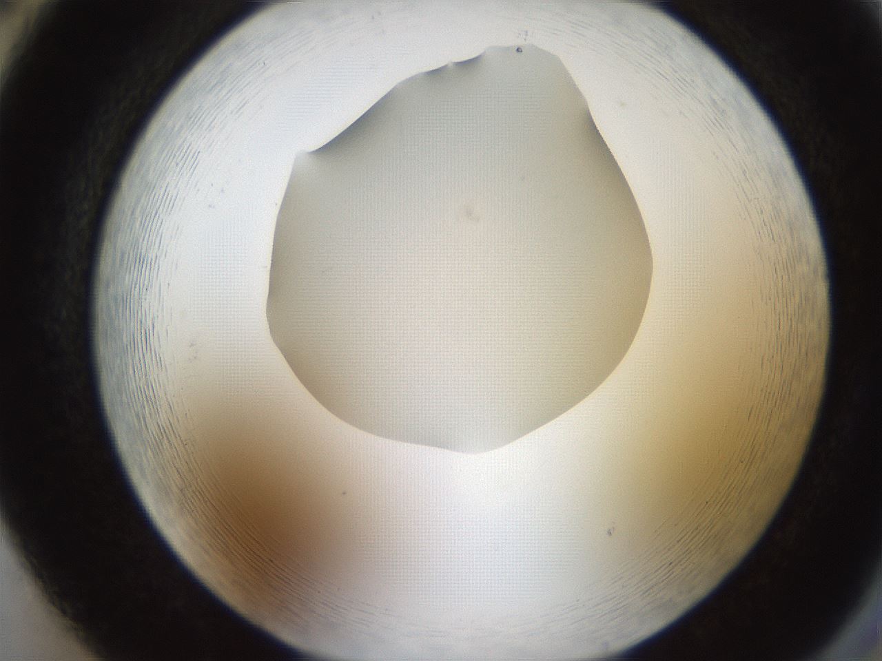 folderID515_plateID1515_batchID5948_wellNum86_profileID1_d2_r96572_ef.jpg