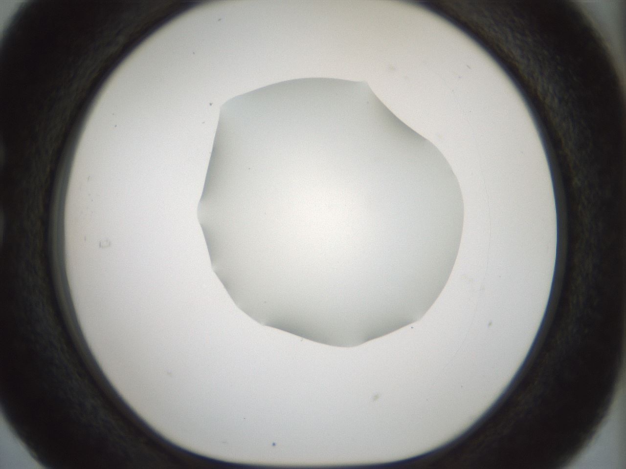 folderID514_plateID1514_batchID5915_wellNum29_profileID1_d1_r96649_ef.jpg