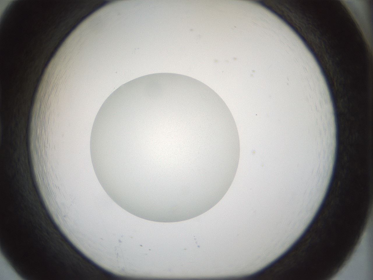folderID514_plateID1514_batchID5855_wellNum20_profileID1_d1_r96631_ef.jpg
