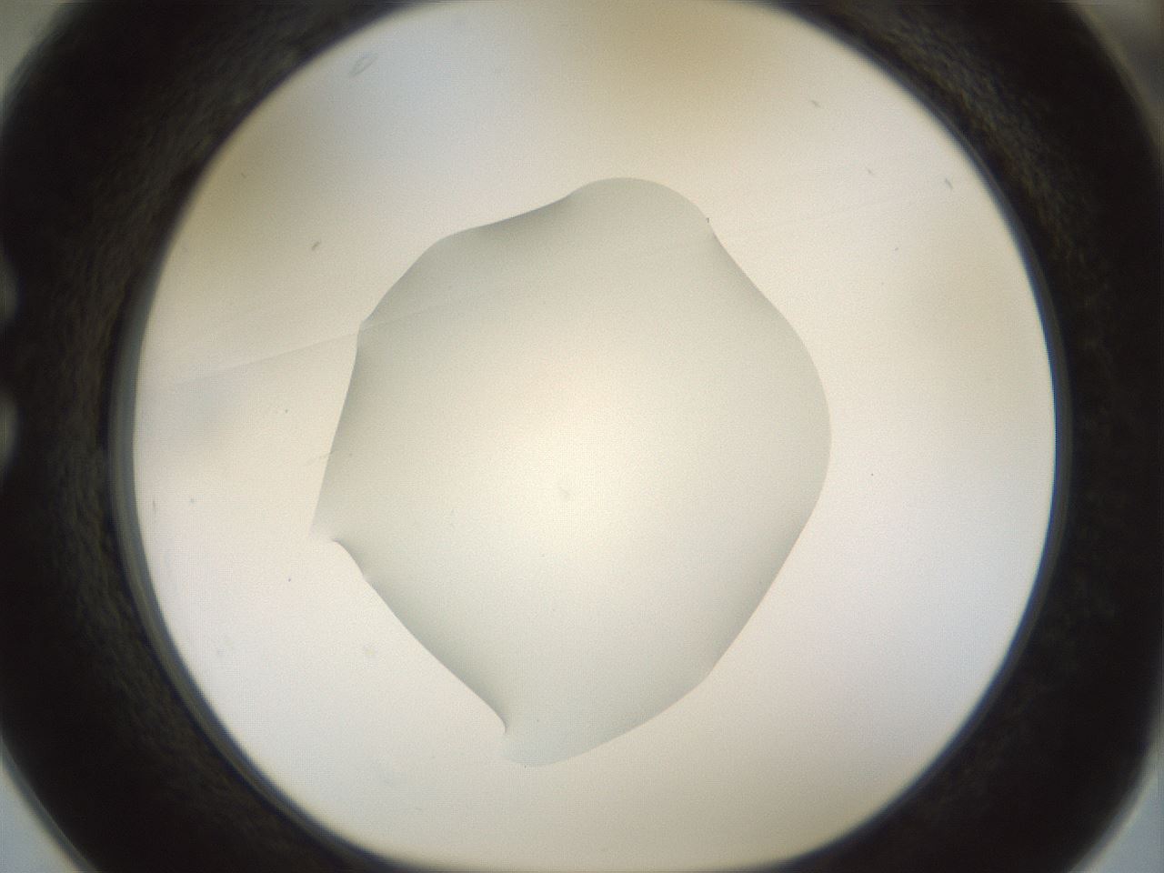 folderID514_plateID1514_batchID5855_wellNum25_profileID1_d1_r96641_ef.jpg