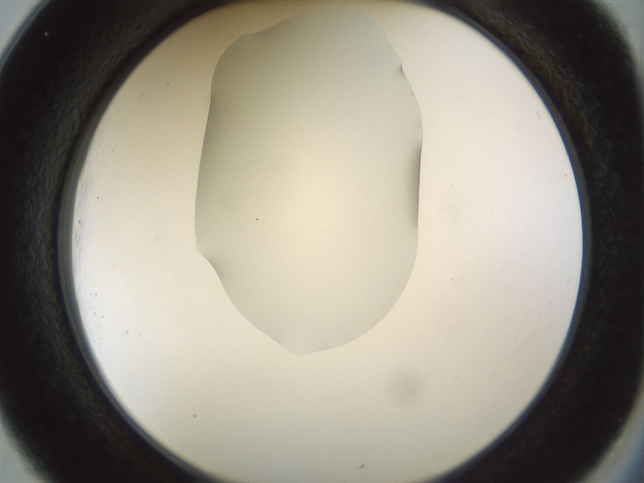 folderID514_plateID1514_batchID5855_wellNum25_profileID1_d2_r96642_ef.jpg