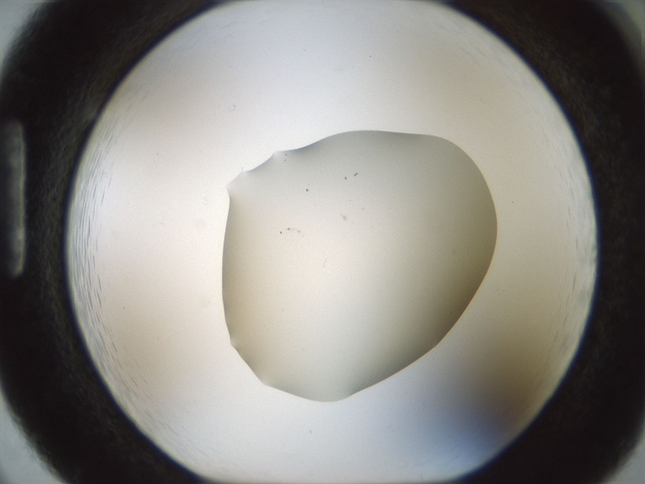 folderID514_plateID1514_batchID5949_wellNum86_profileID1_d1_r96763_ef.jpg