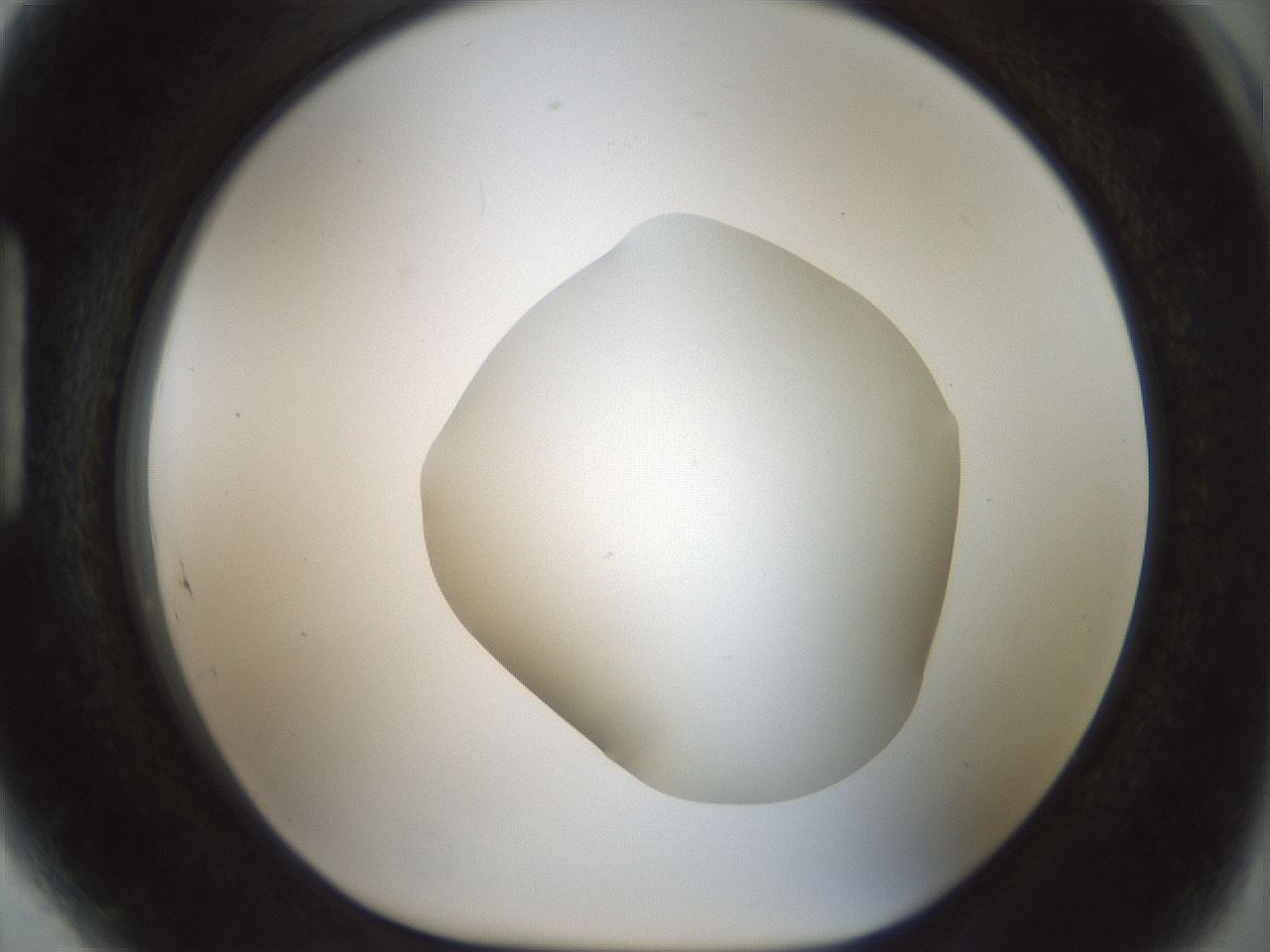 folderID514_plateID1514_batchID5949_wellNum89_profileID1_d1_r96769_ef.jpg