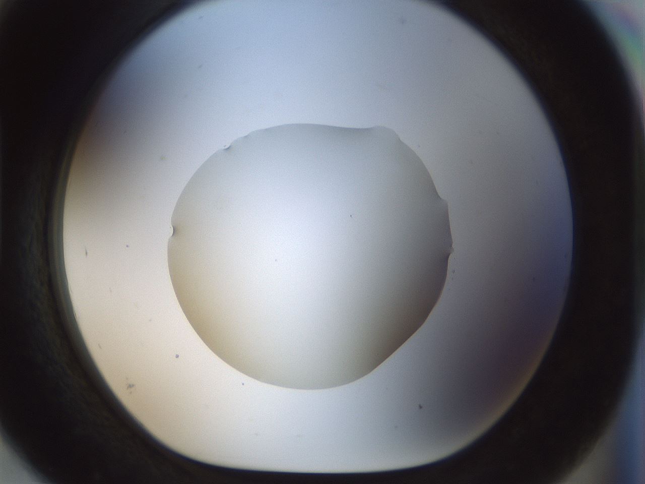 folderID514_plateID1514_batchID5949_wellNum93_profileID1_d1_r96777_ef.jpg
