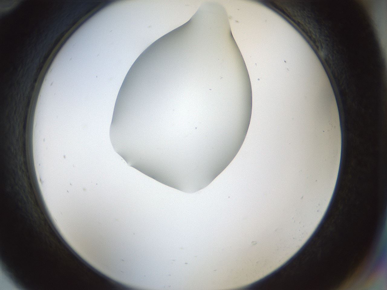 folderID514_plateID1514_batchID5949_wellNum94_profileID1_d2_r96780_ef.jpg