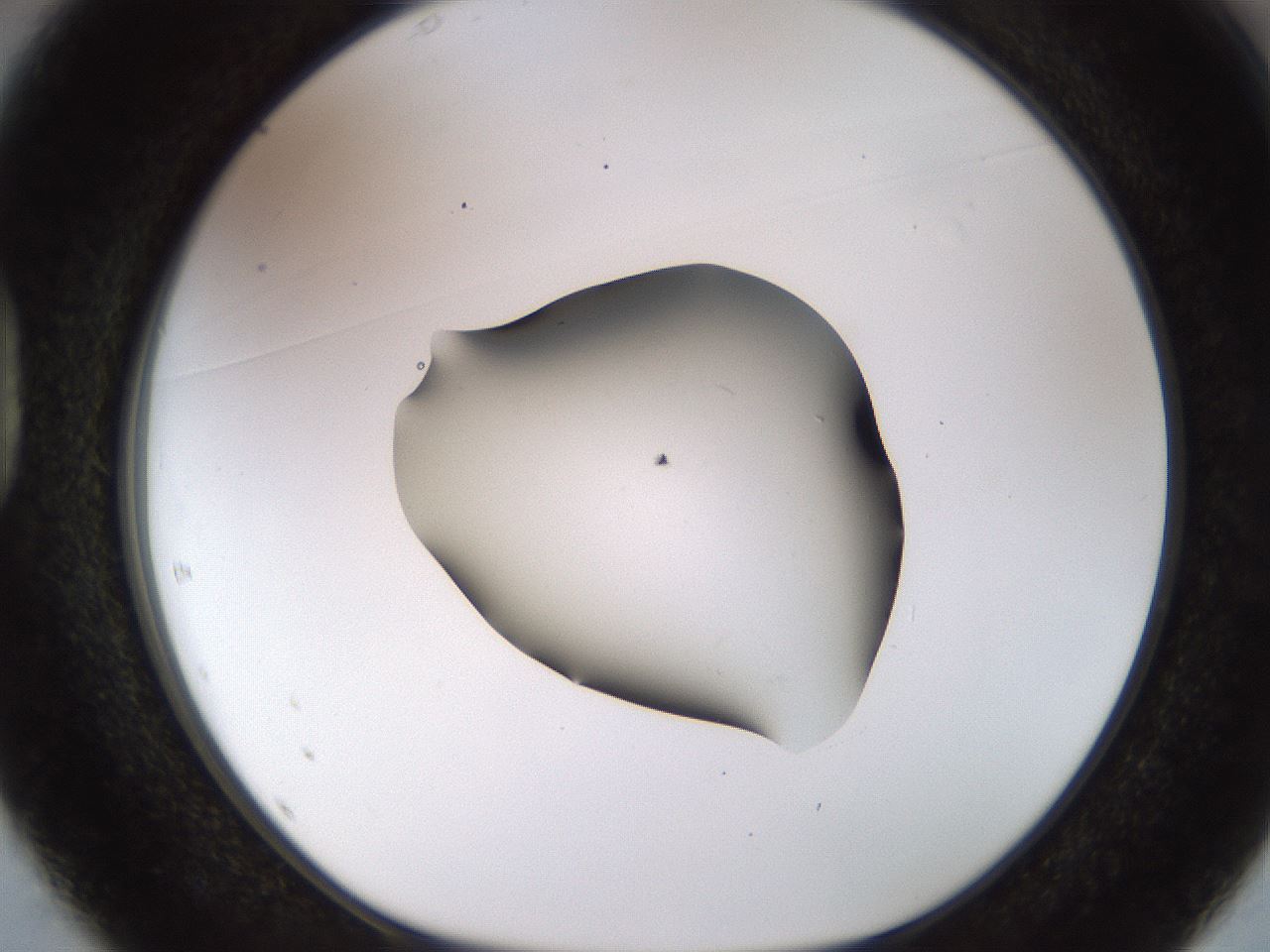 folderID515_plateID1515_batchID5948_wellNum37_profileID1_d1_r96473_ef.jpg