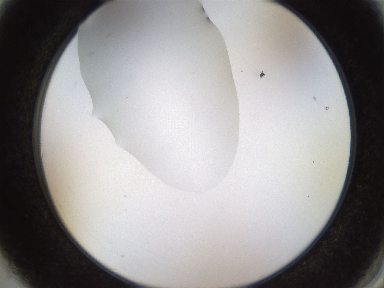 folderID515_plateID1515_batchID5948_wellNum3_profileID1_d2_r96406_ef.jpg