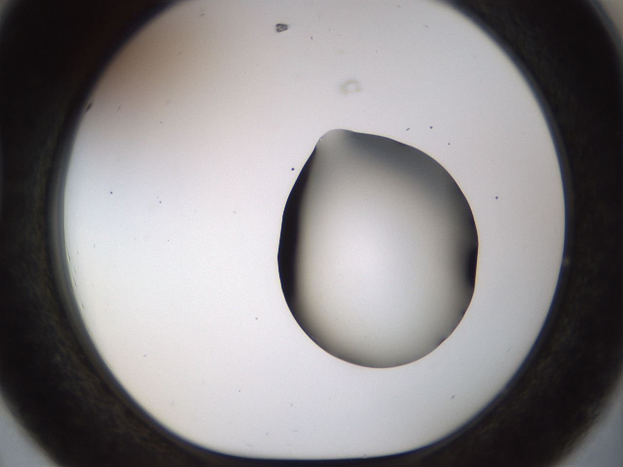 folderID515_plateID1515_batchID5948_wellNum44_profileID1_d1_r96487_ef.jpg