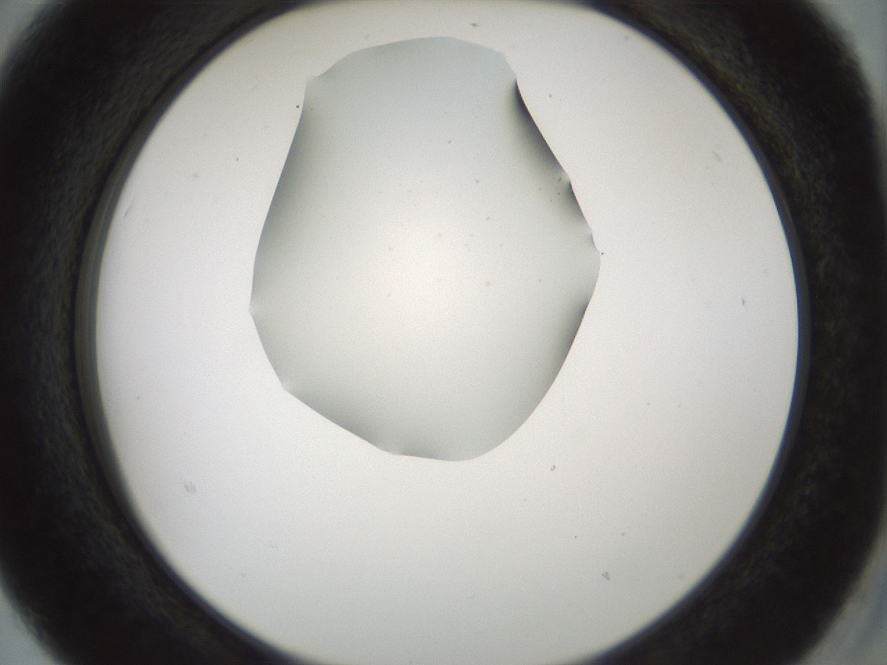 folderID514_plateID1514_batchID5915_wellNum15_profileID1_d2_r96622_ef.jpg