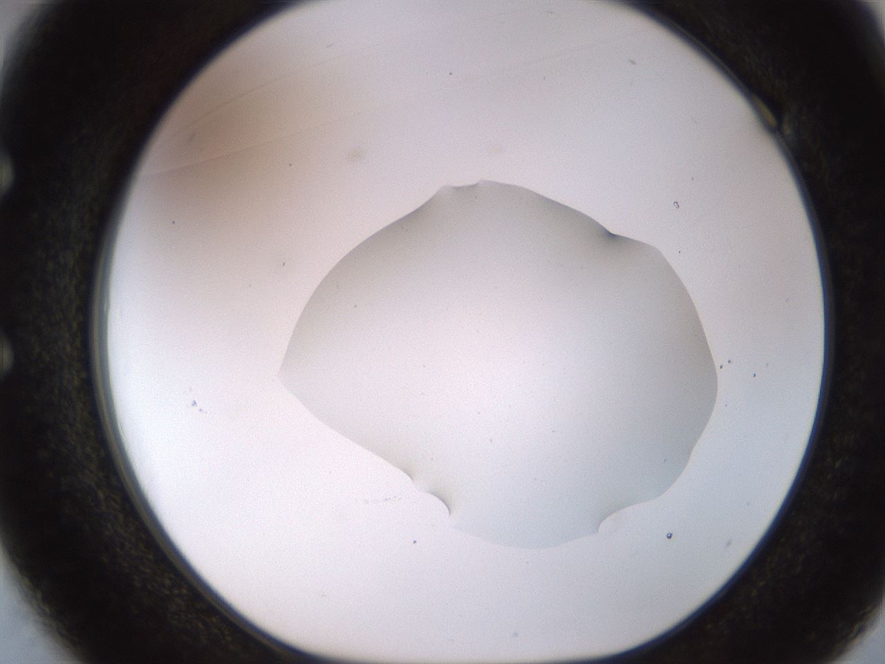 folderID513_plateID1513_batchID5943_wellNum49_profileID1_d1_r95969_ef.jpg