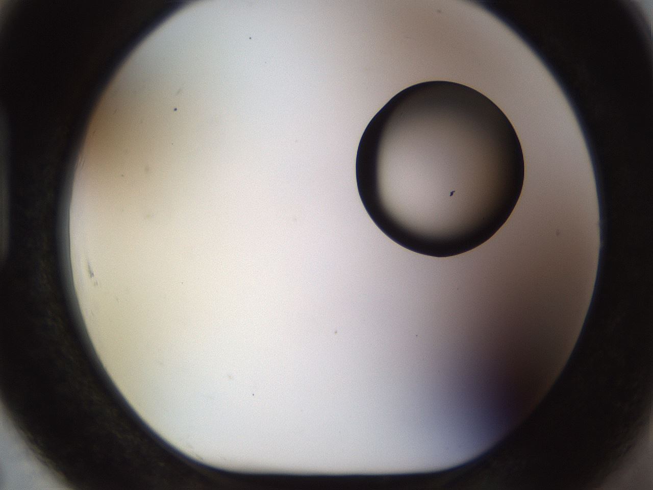 folderID513_plateID1513_batchID5943_wellNum91_profileID1_d1_r96011_ef.jpg