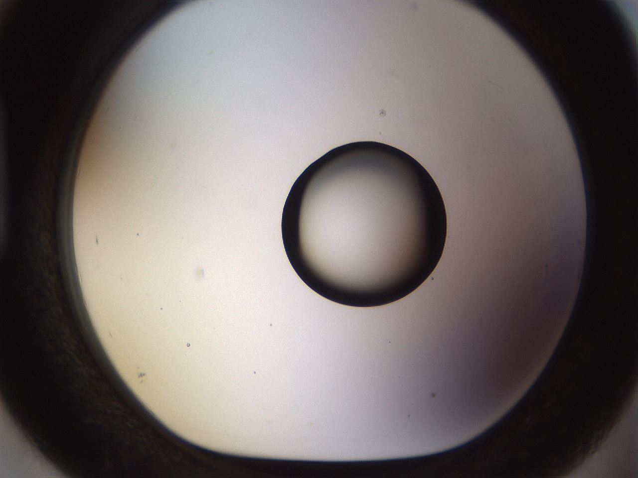 folderID513_plateID1513_batchID5943_wellNum93_profileID1_d1_r96013_ef.jpg