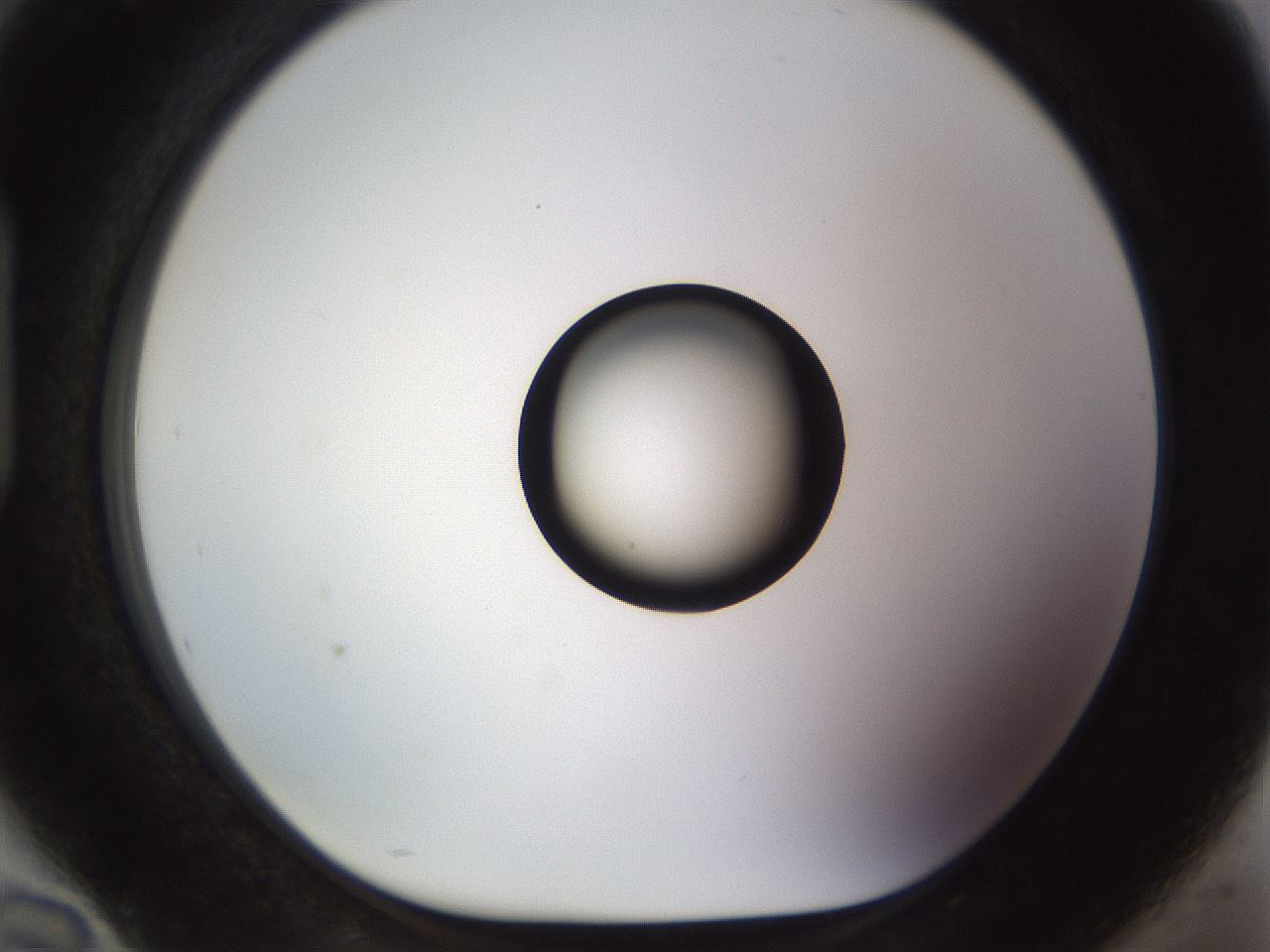 folderID513_plateID1513_batchID5943_wellNum94_profileID1_d1_r96014_ef.jpg