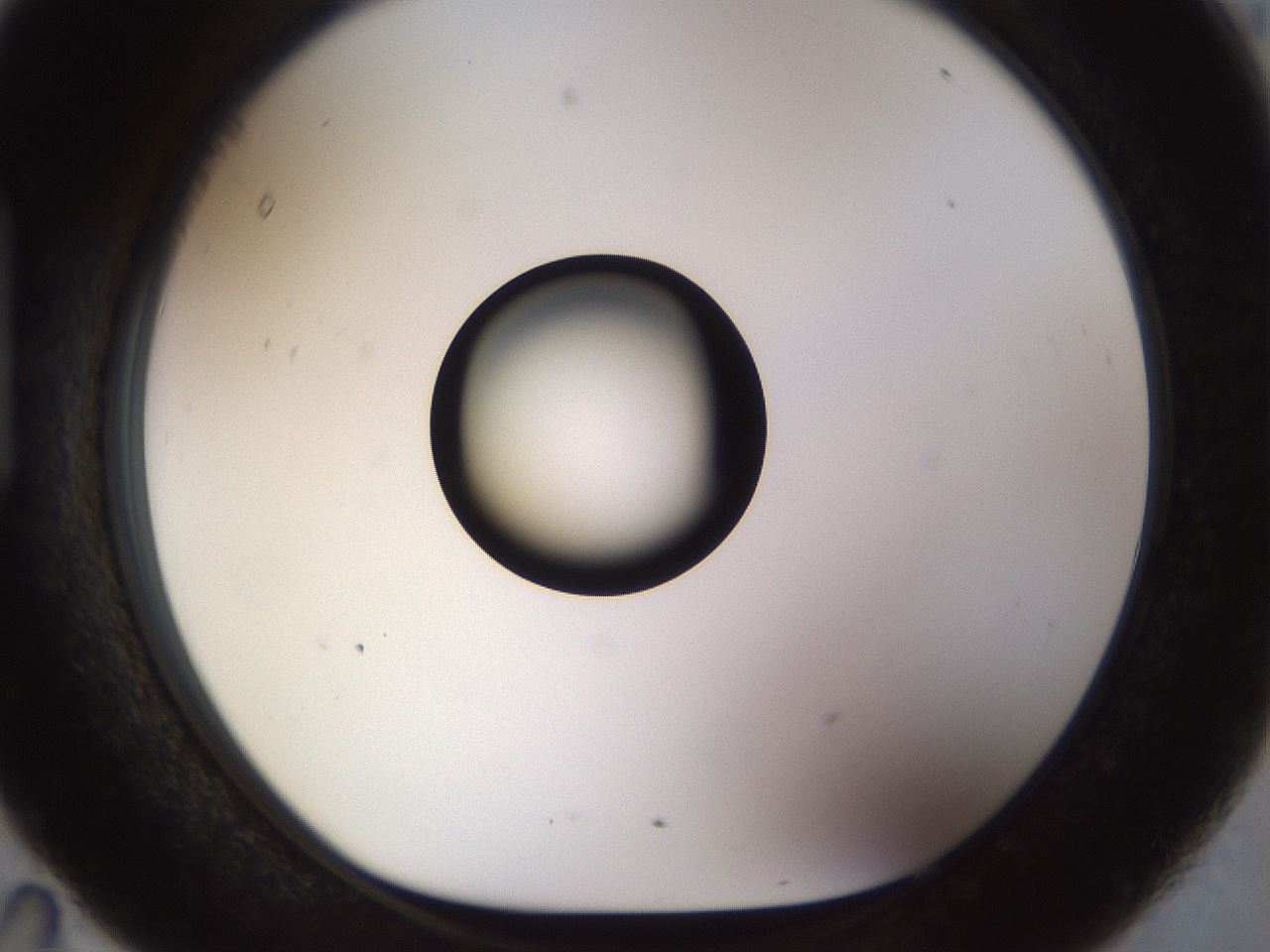folderID513_plateID1513_batchID5943_wellNum95_profileID1_d1_r96015_ef.jpg