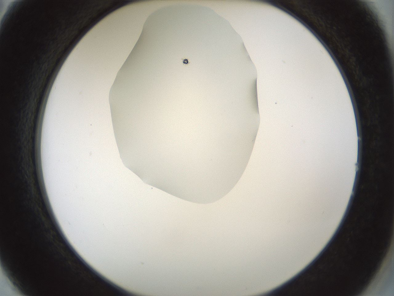 folderID514_plateID1514_batchID5855_wellNum14_profileID1_d2_r96620_ef.jpg
