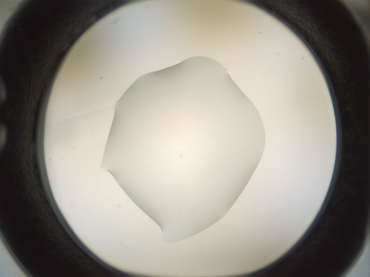folderID514_plateID1514_batchID5882_wellNum25_profileID1_d1_r96641_ef.jpg