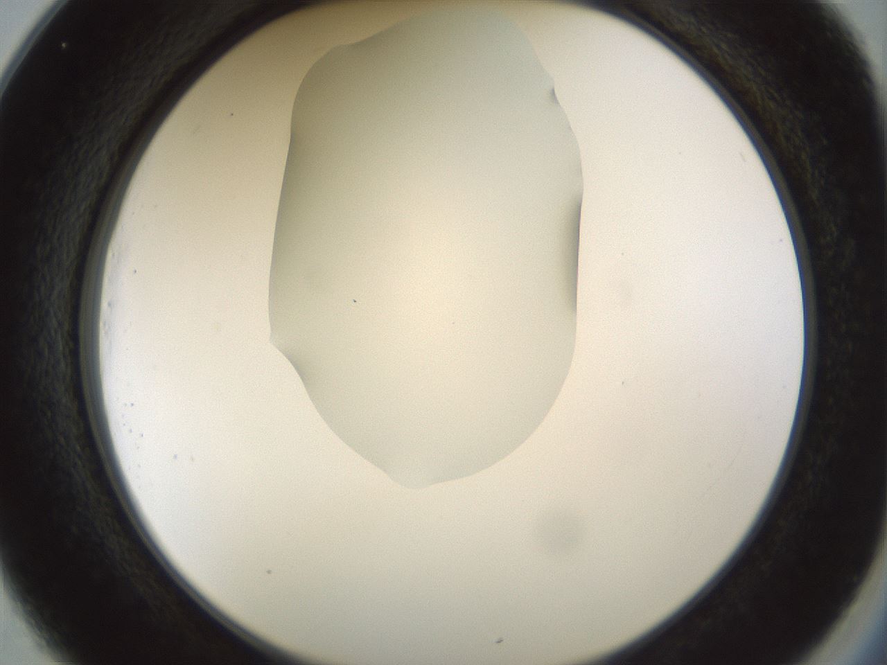 folderID514_plateID1514_batchID5882_wellNum25_profileID1_d2_r96642_ef.jpg