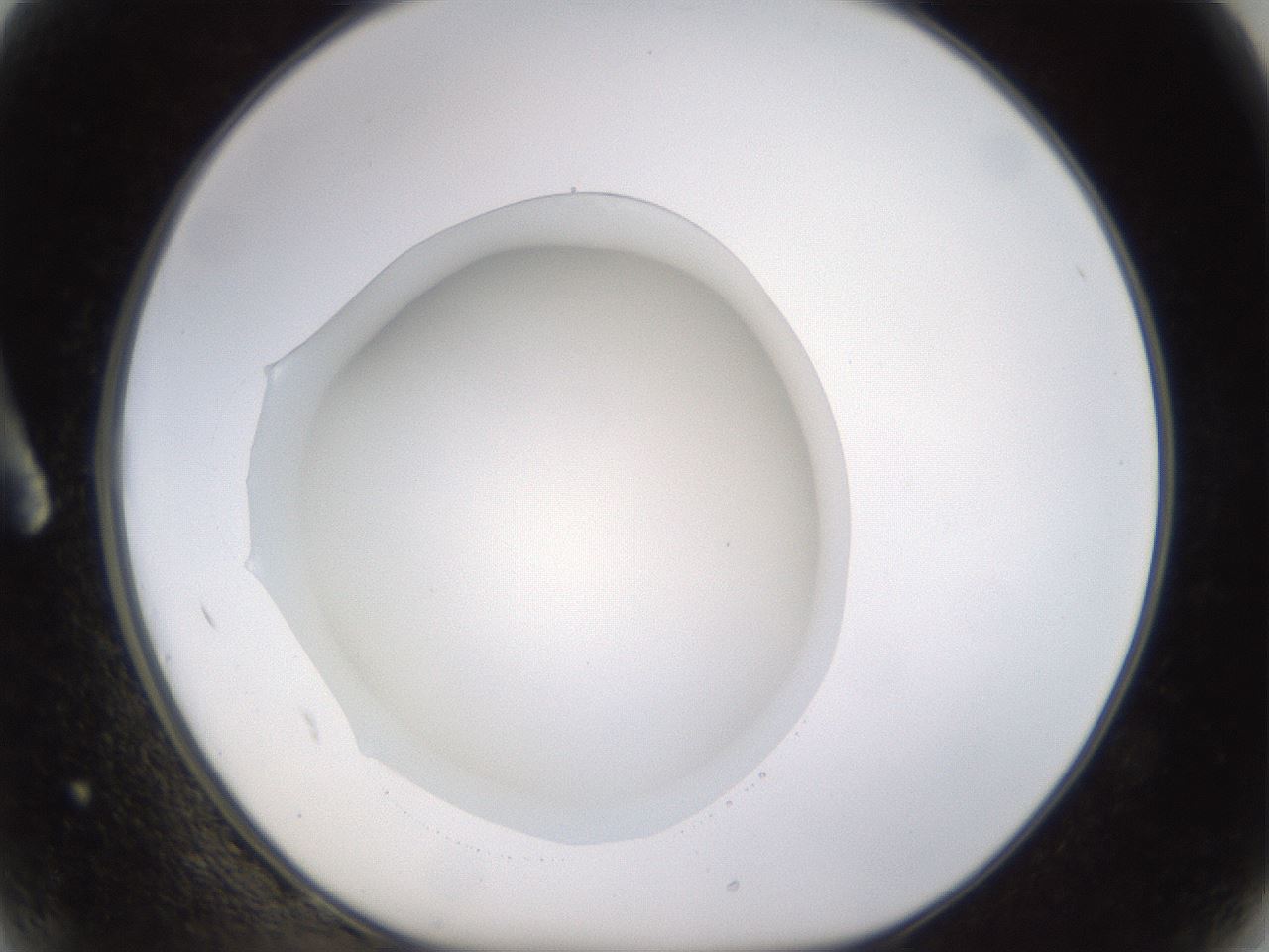 folderID520_plateID1520_batchID5989_wellNum2_profileID1_d1_r97363_ef.jpg