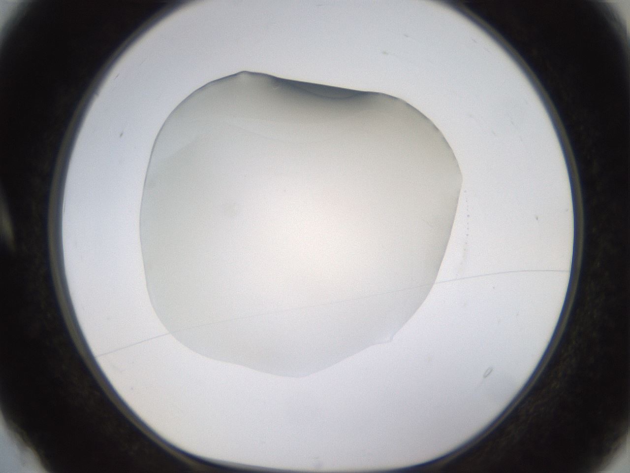 folderID520_plateID1520_batchID5989_wellNum4_profileID1_d1_r97367_ef.jpg