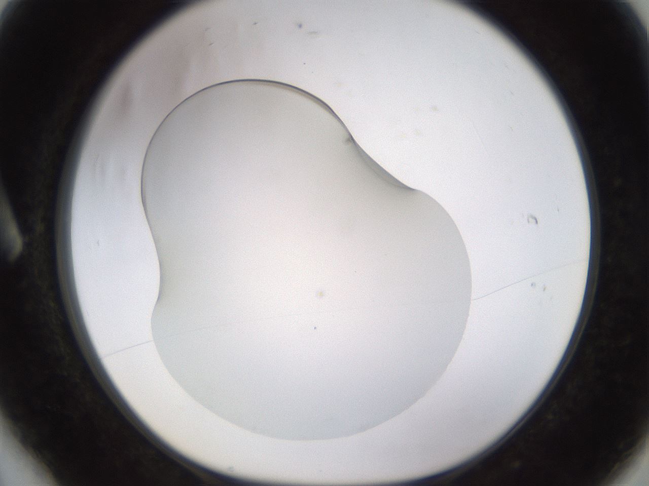 folderID520_plateID1520_batchID5989_wellNum6_profileID1_d1_r97371_ef.jpg