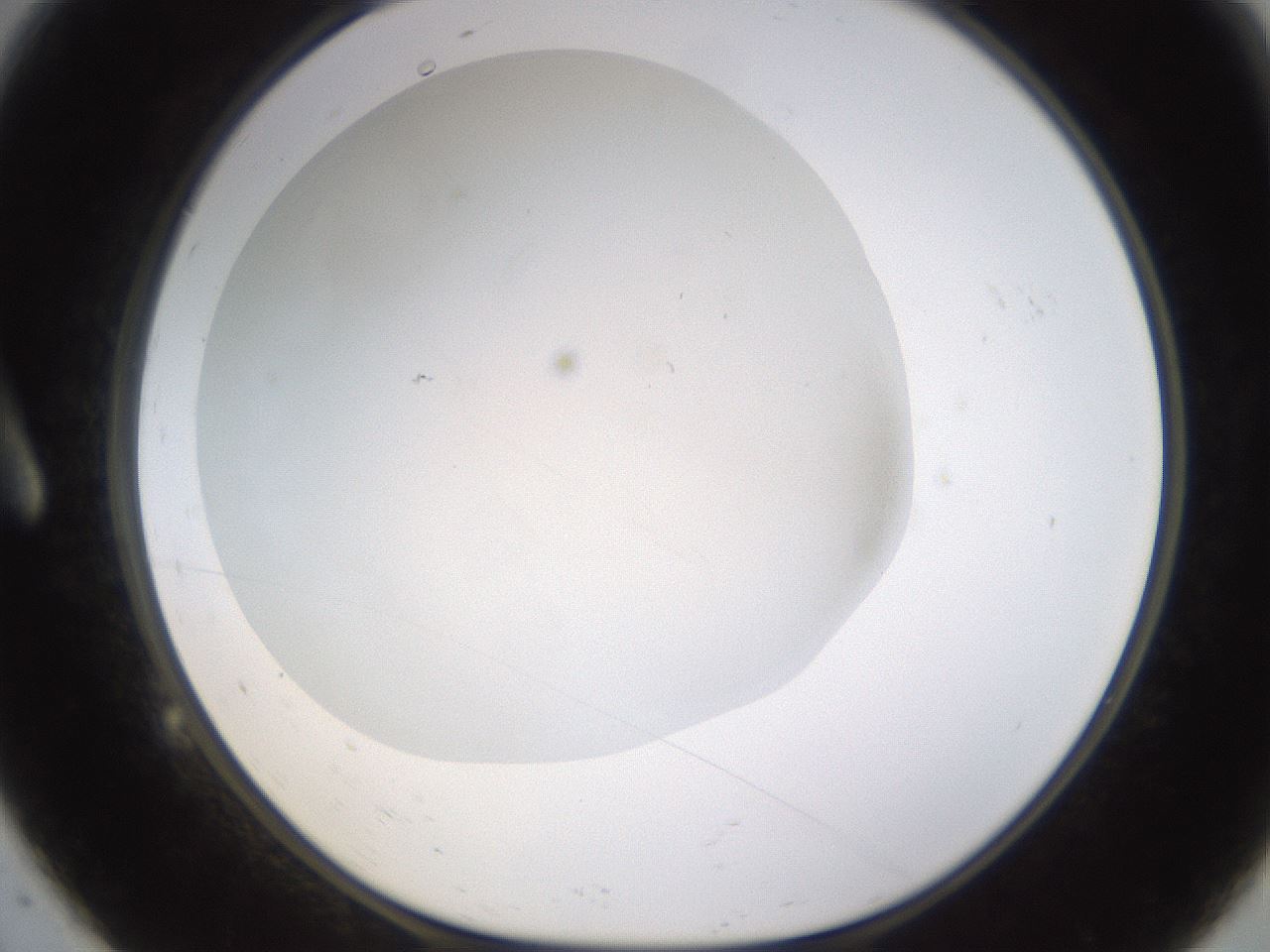 folderID521_plateID1521_batchID5990_wellNum9_profileID1_d1_r97561_ef.jpg