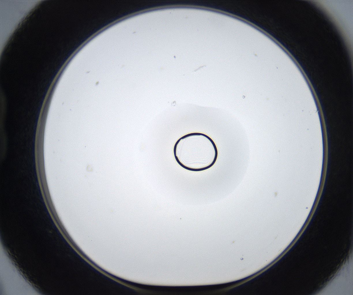 folderID521_plateID2521_batchID12480_wellNum21_profileID1_d1_r189828_ef.jpg