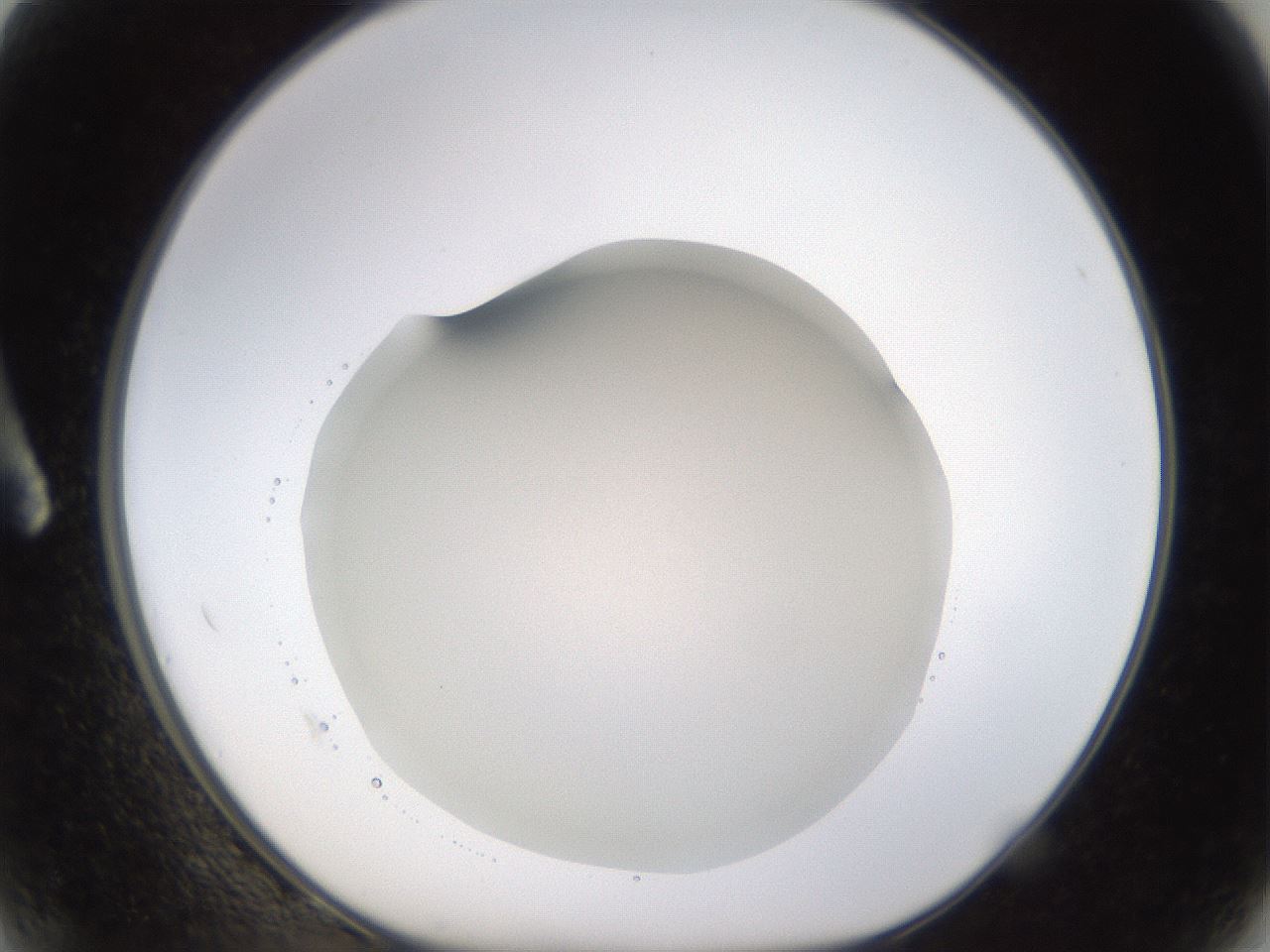 folderID521_plateID1521_batchID5990_wellNum2_profileID1_d1_r97554_ef.jpg