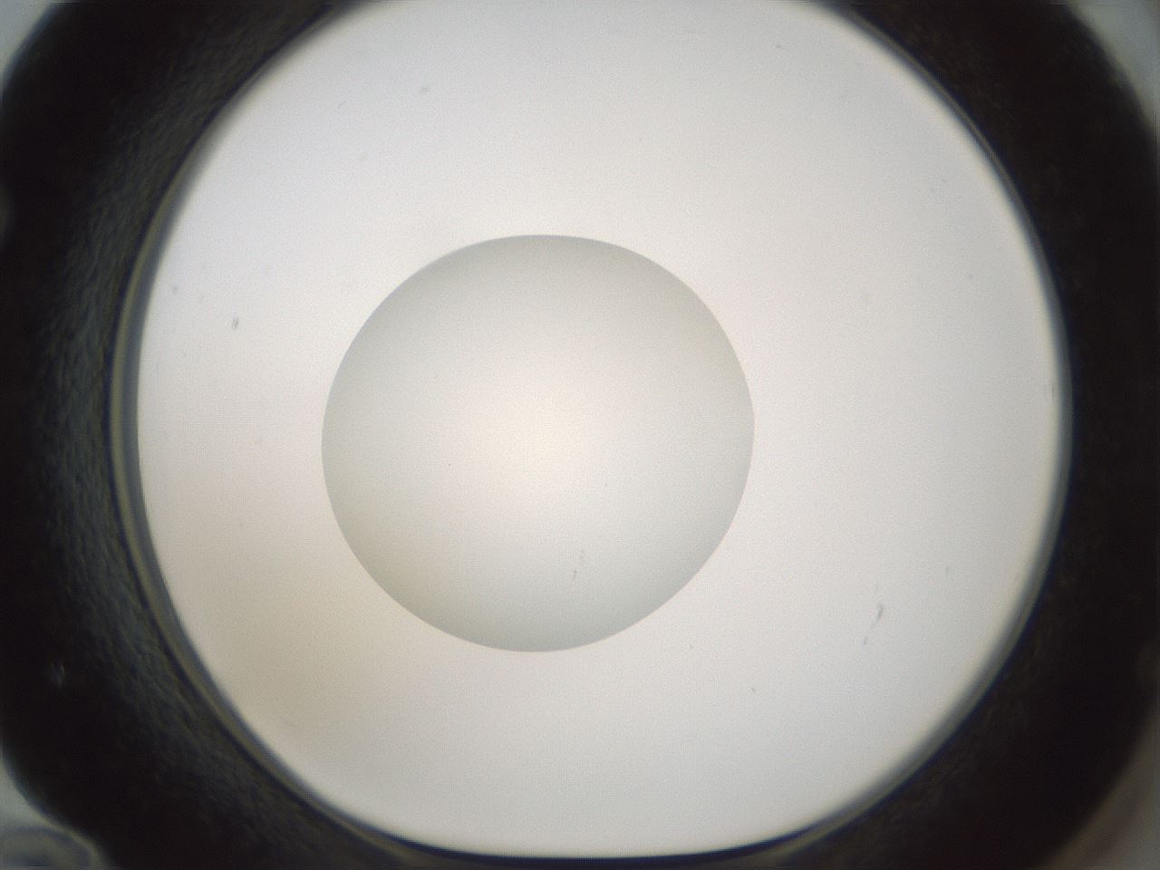 folderID522_plateID1522_batchID6126_wellNum72_profileID1_d1_r97816_ef.jpg
