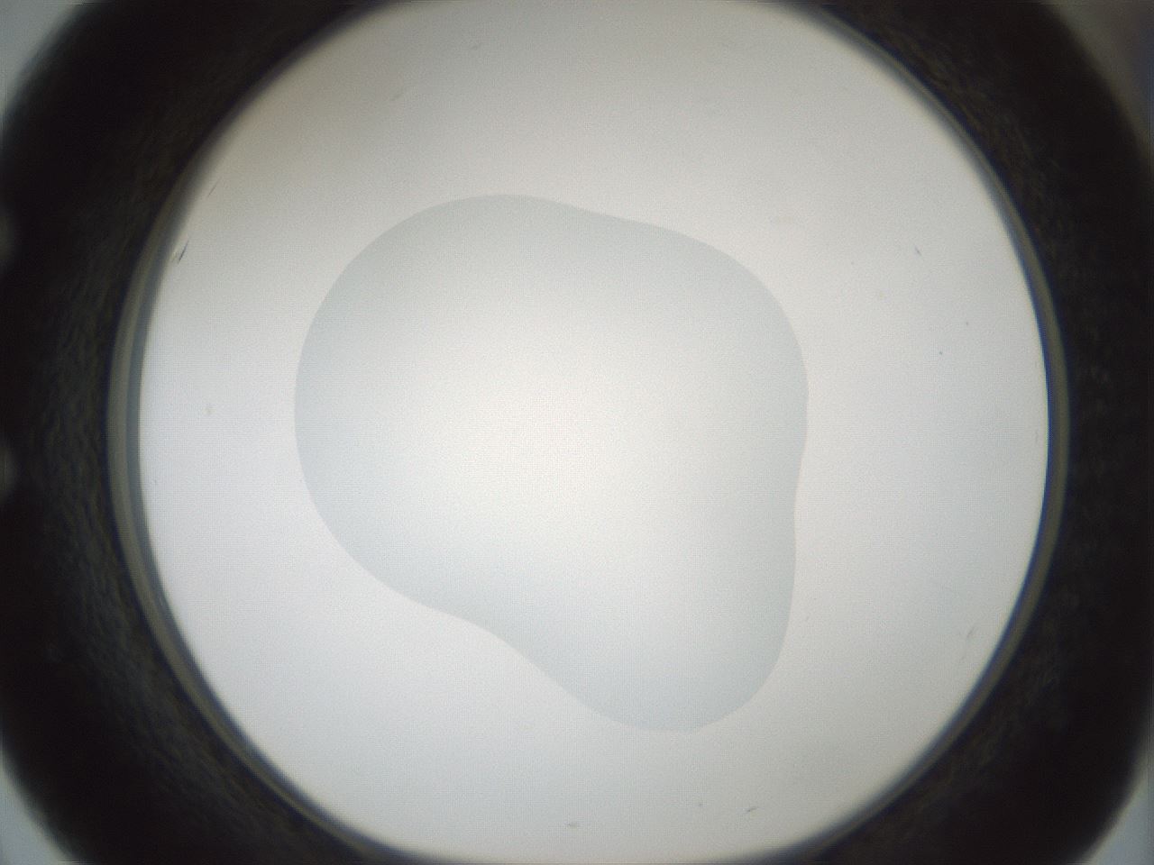 folderID522_plateID1522_batchID6126_wellNum51_profileID1_d1_r97795_ef.jpg