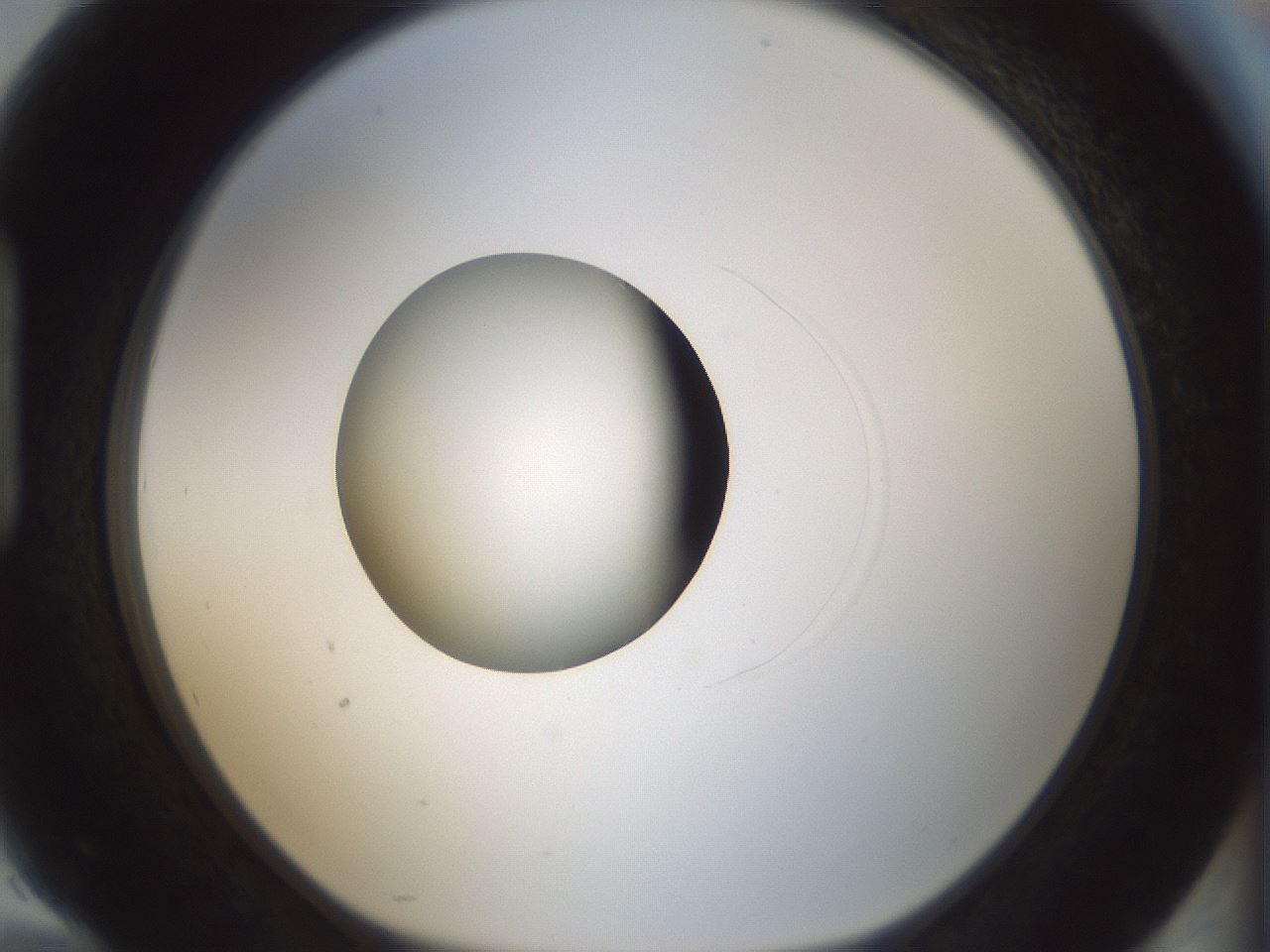 folderID522_plateID1522_batchID6126_wellNum94_profileID1_d1_r97838_ef.jpg